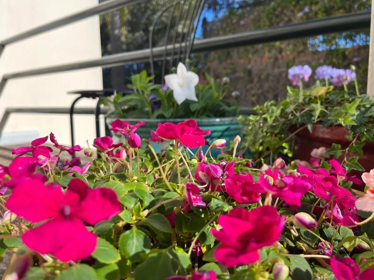 Dream Garden Apartment Santa Cruz de Tenerife